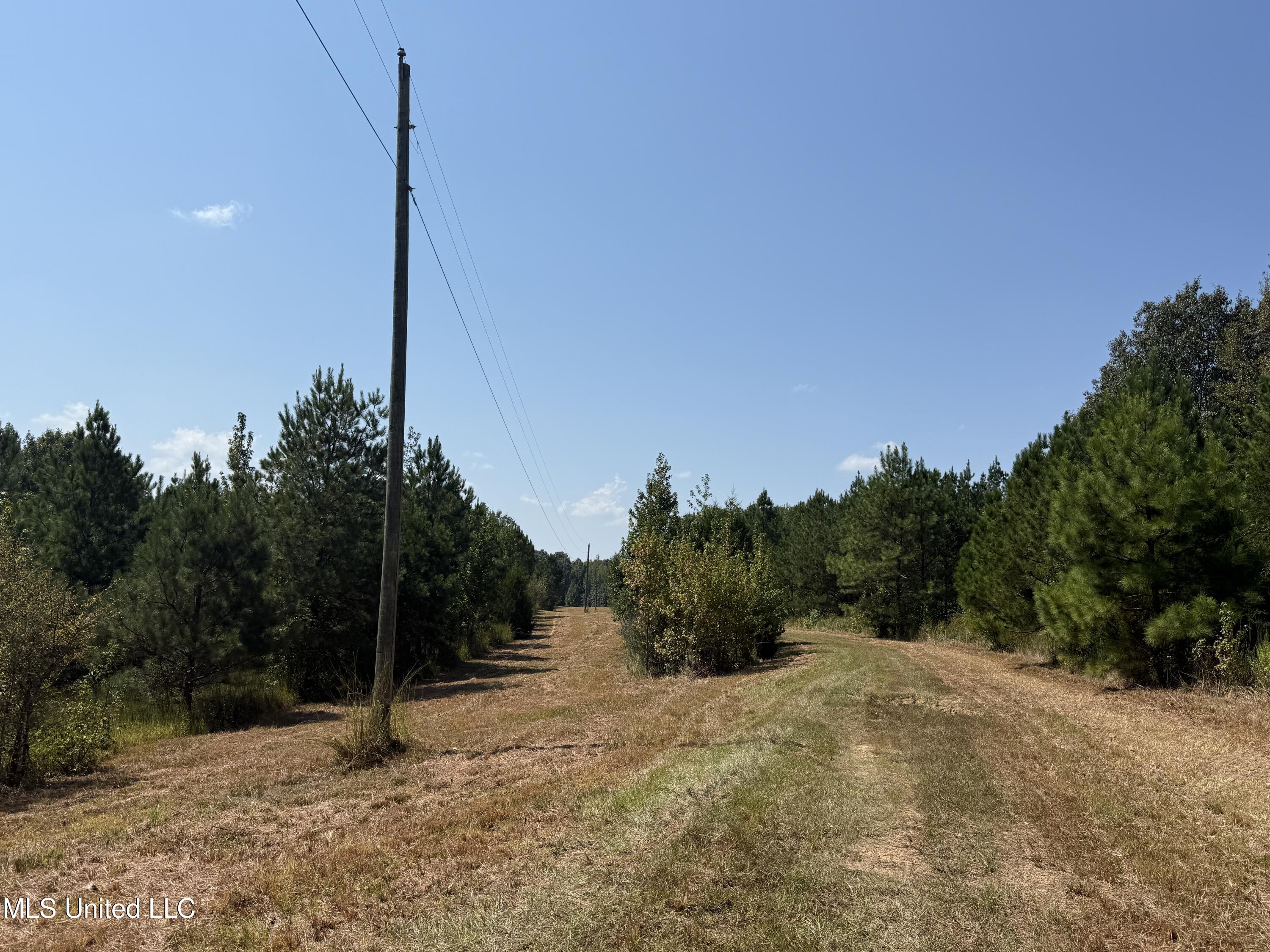 Race Track Road West, MS 39192 - Photo 33 of 47 Photo Sep 18 2025, 12 10 00 PM