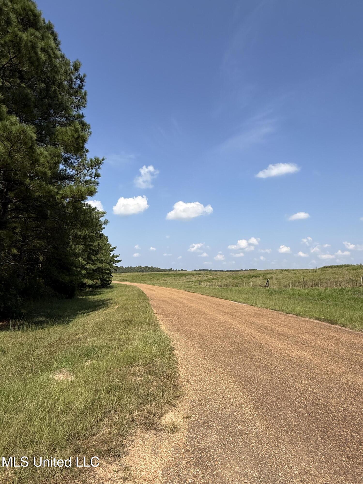 Race Track Road West, MS 39192 - Photo 34 of 47 Photo Sep 18 2025, 12 11 43 PM