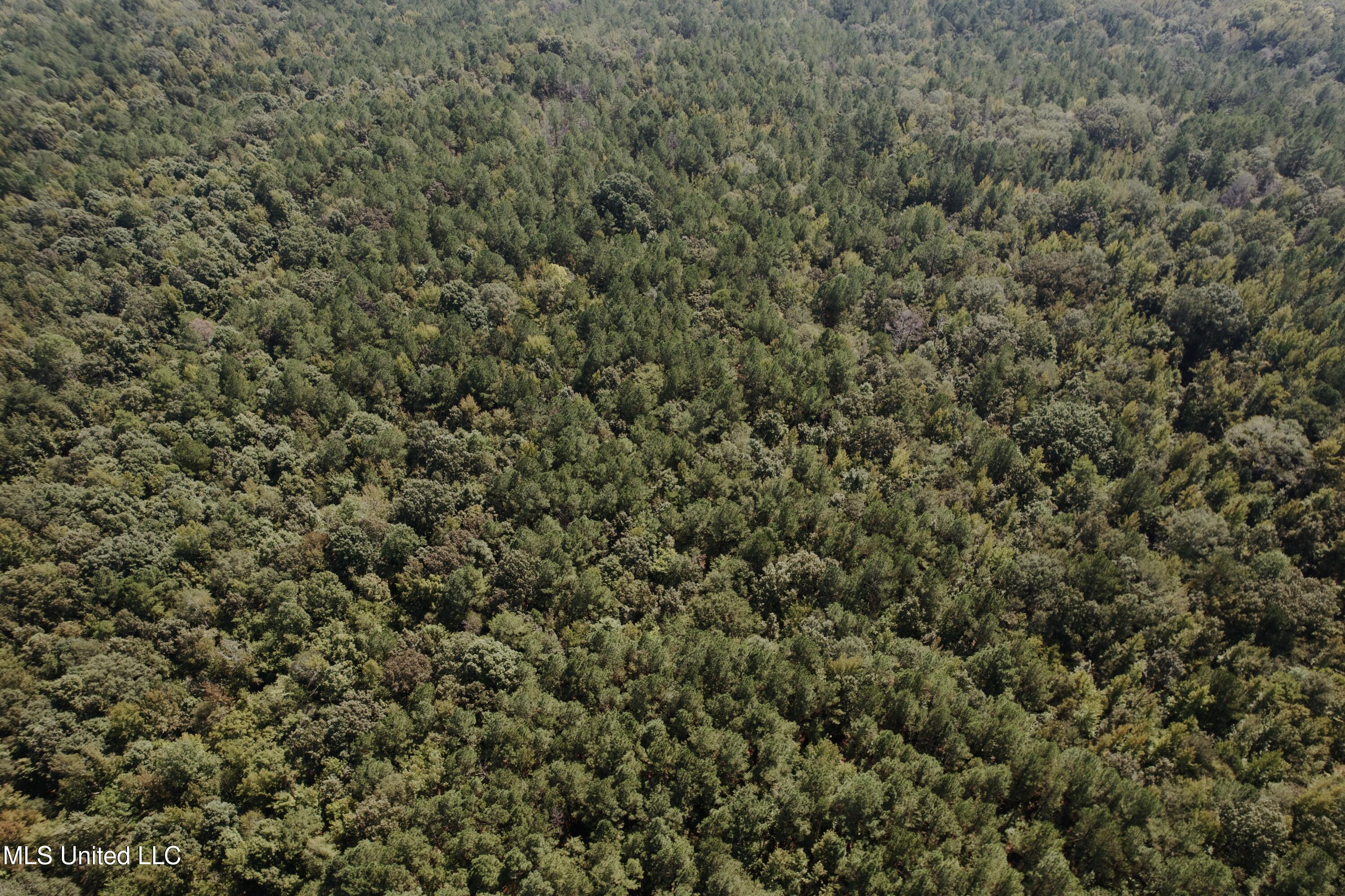 Race Track Road West, MS 39192 - Photo 35 of 47 dji_fly_20250918_114144_821_175821382886