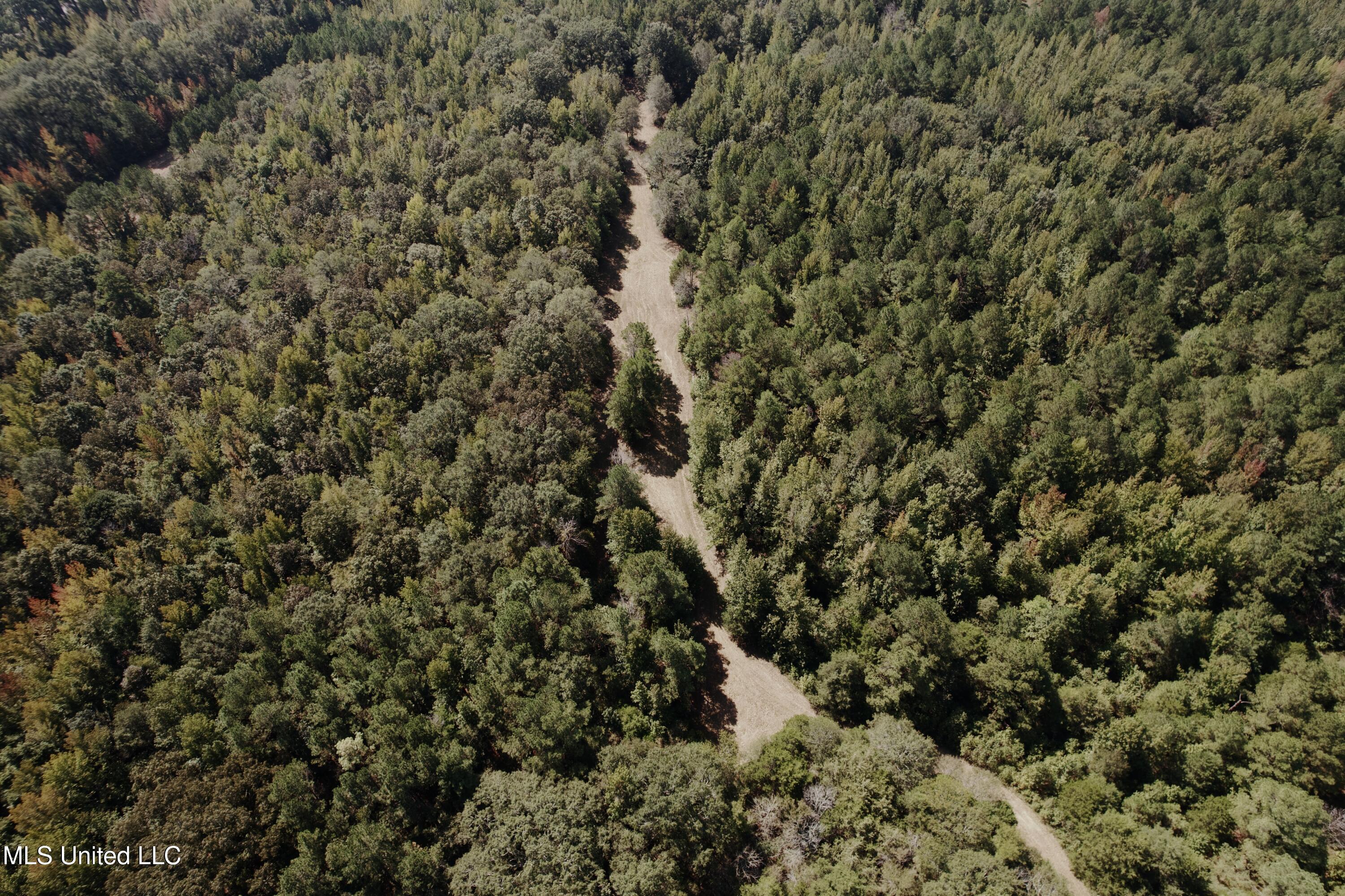 Race Track Road West, MS 39192 - Photo 40 of 47 dji_fly_20250918_113734_817_175821385893