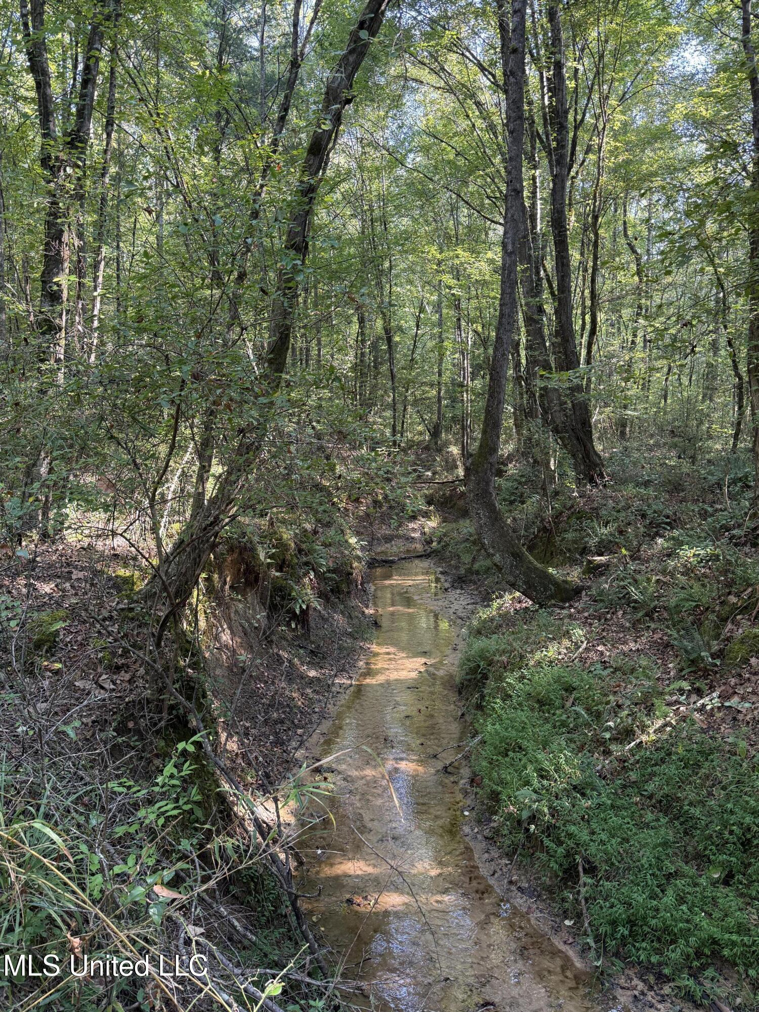 Race Track Road West, MS 39192 - Photo 4 of 47 4