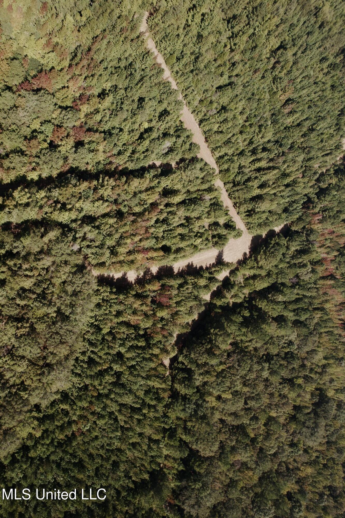 Race Track Road West, MS 39192 - Photo 42 of 47 dji_fly_20250918_113952_819_175821384380