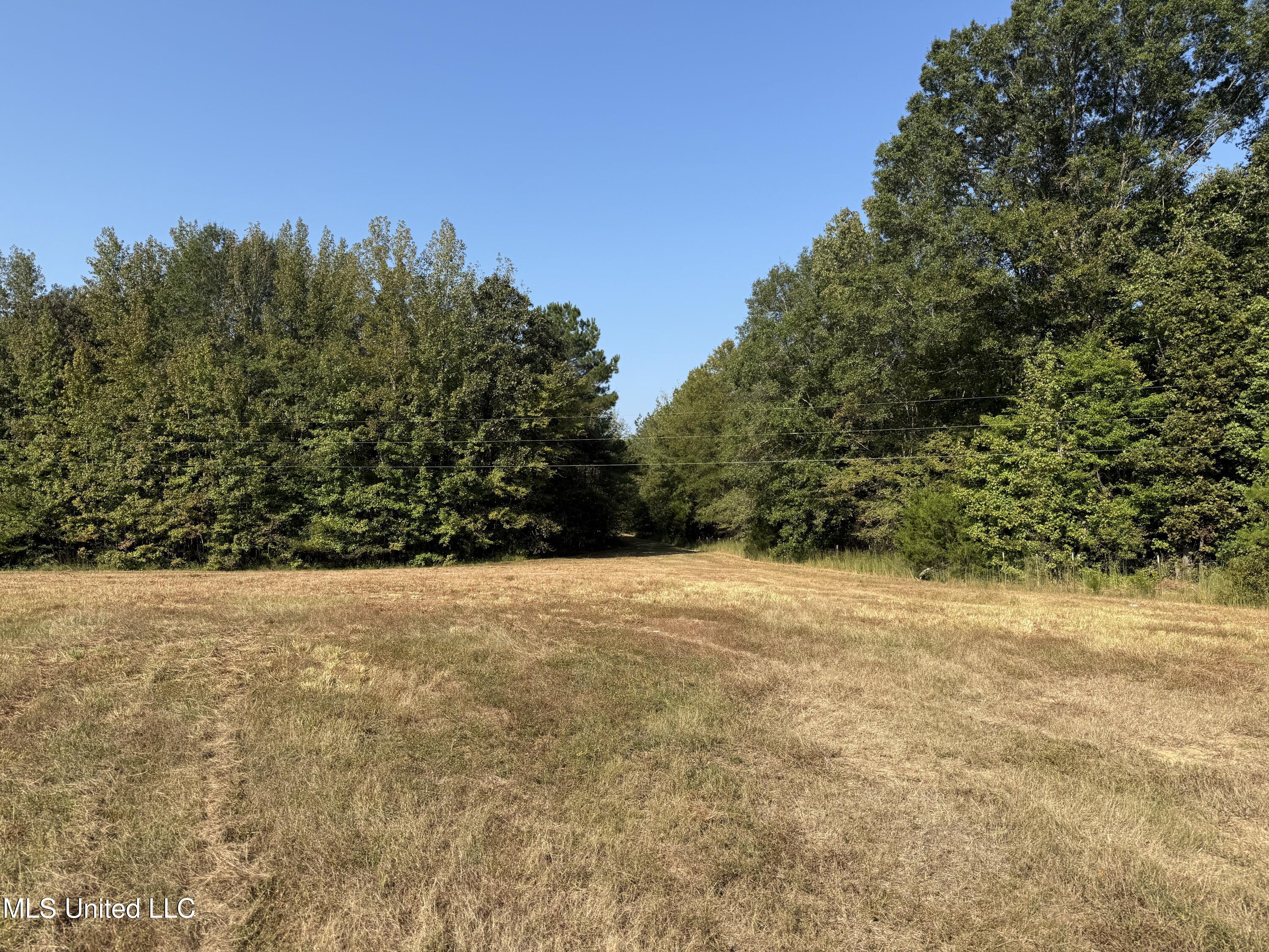 Race Track Road West, MS 39192 - Photo 5 of 47 5