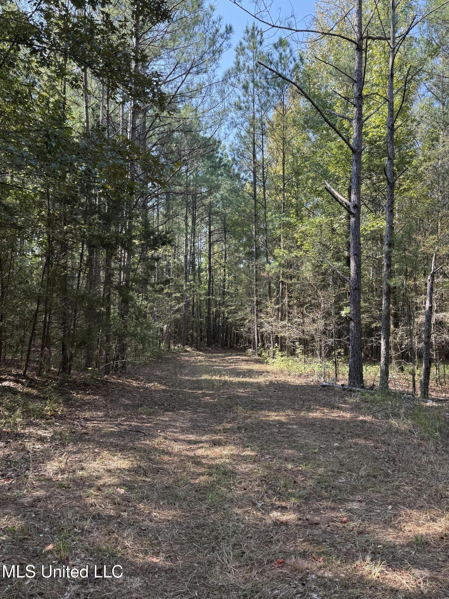 Race Track Road West, MS 39192 - Photo 6 of 47 6