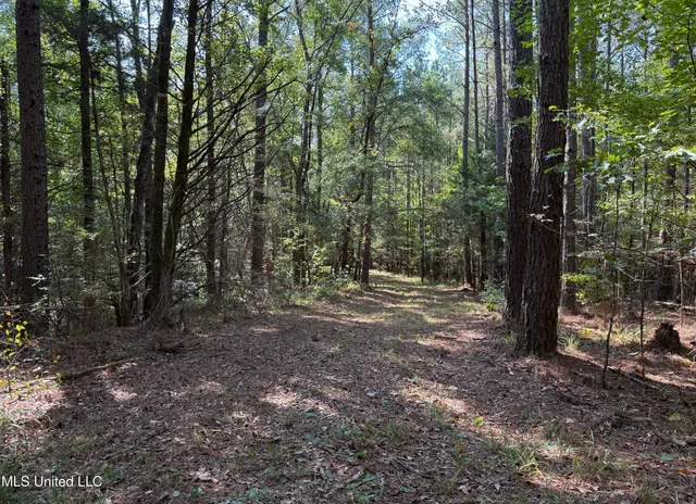 $875,000 | Race Track Road, West, MS 39192