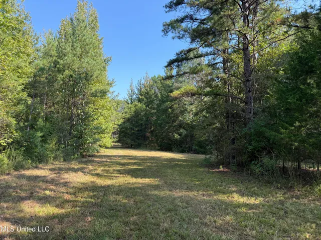 $875,000 | Race Track Road, West, MS 39192