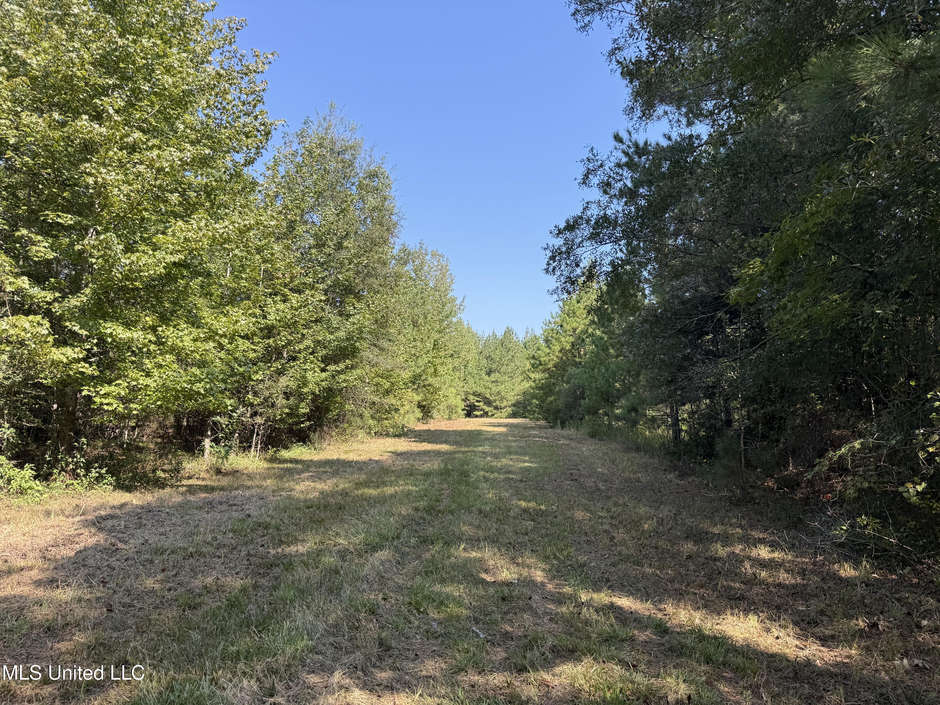 Race Track Road West, MS 39192 - Photo 9 of 47 9