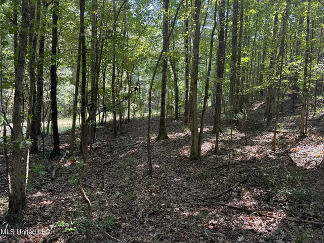 $875,000 | Race Track Road, West, MS 39192