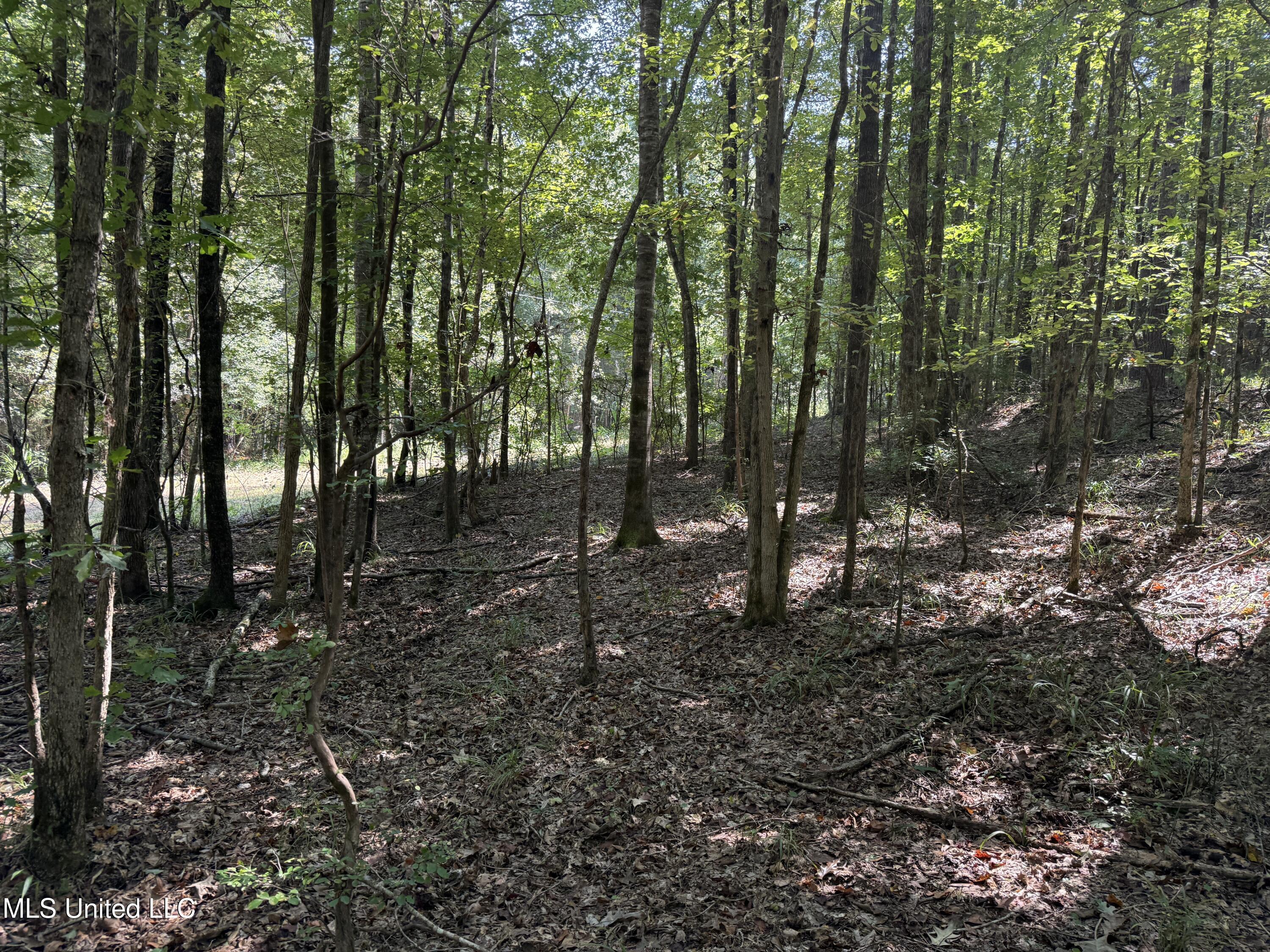Race Track Road West, MS 39192 - Photo 10 of 47 11