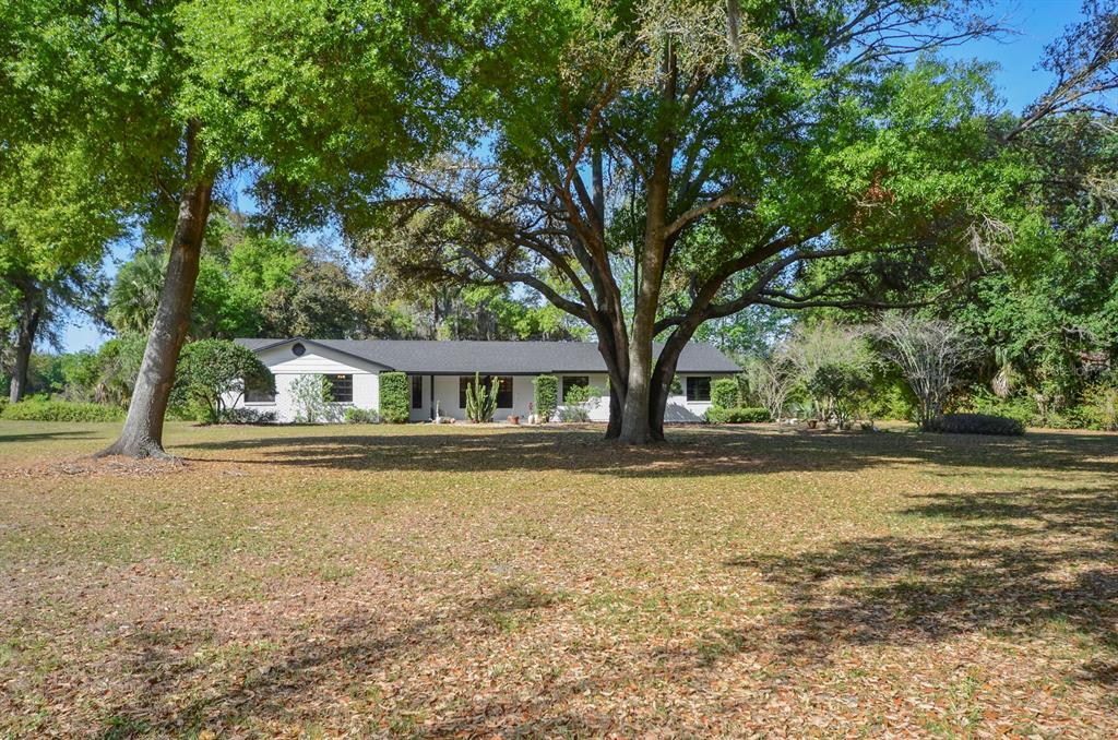 a front view of a house with a large trees and a big yard