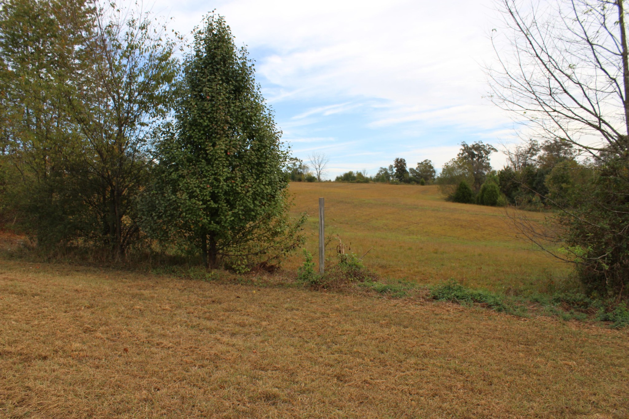 350 Allison Town Road Philadelphia, TN 37846 - Photo 3 of 26 a view of an ocean beach