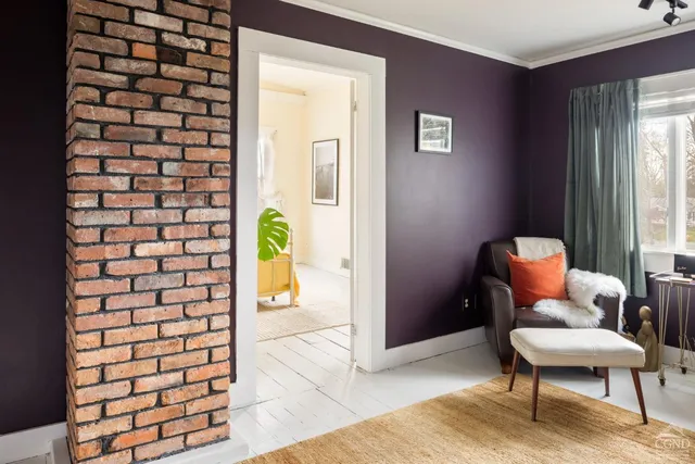 a living room with a couch and a potted plant