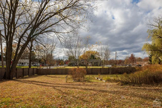 a view of a yard with trees