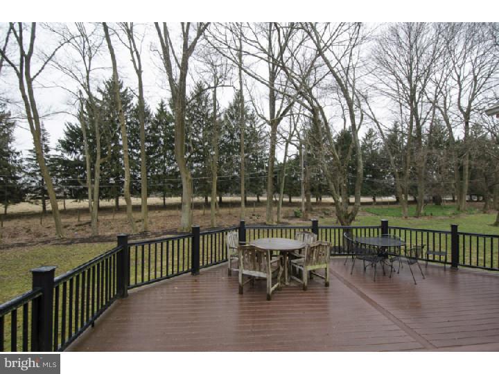 934 Pinecroft Road Berwyn, PA 19312 - Photo 23 of 25 Deck