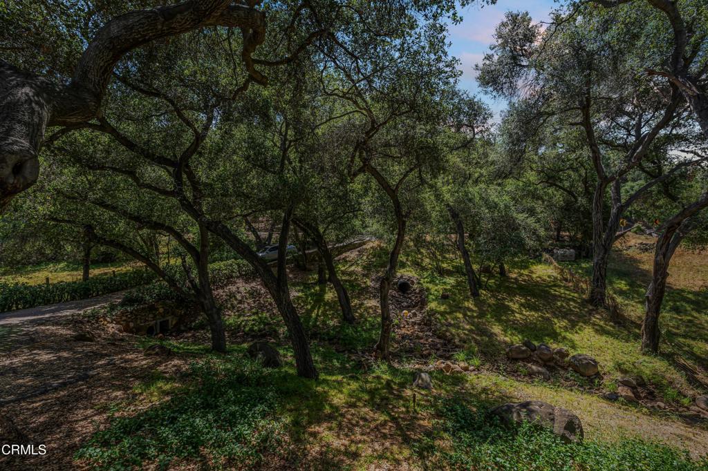 155 West Villanova Road Ojai, CA 93023 - Photo 20 of 21