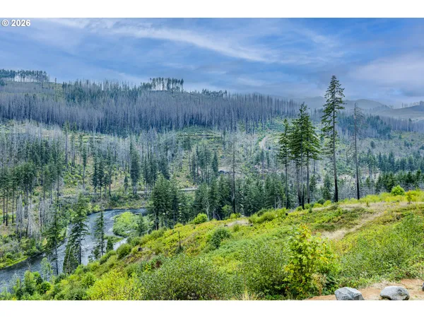 $1,550,000 | 47555 McKenzie Highway, Vida, OR 97488