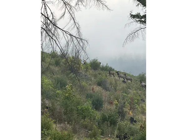 $1,550,000 | 47555 McKenzie Highway, Vida, OR 97488