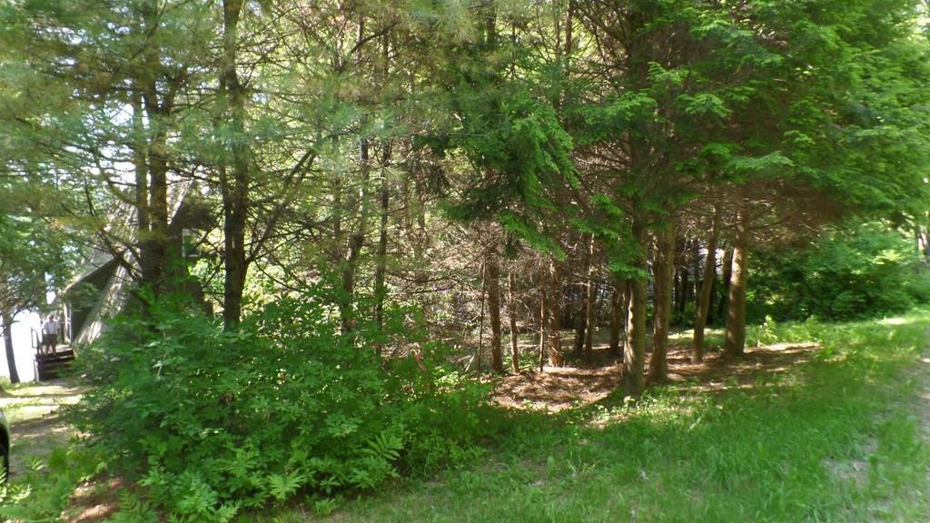 108 Thorp Shores Road Readfield, ME 04355 - Photo 22 of 24 View from the road