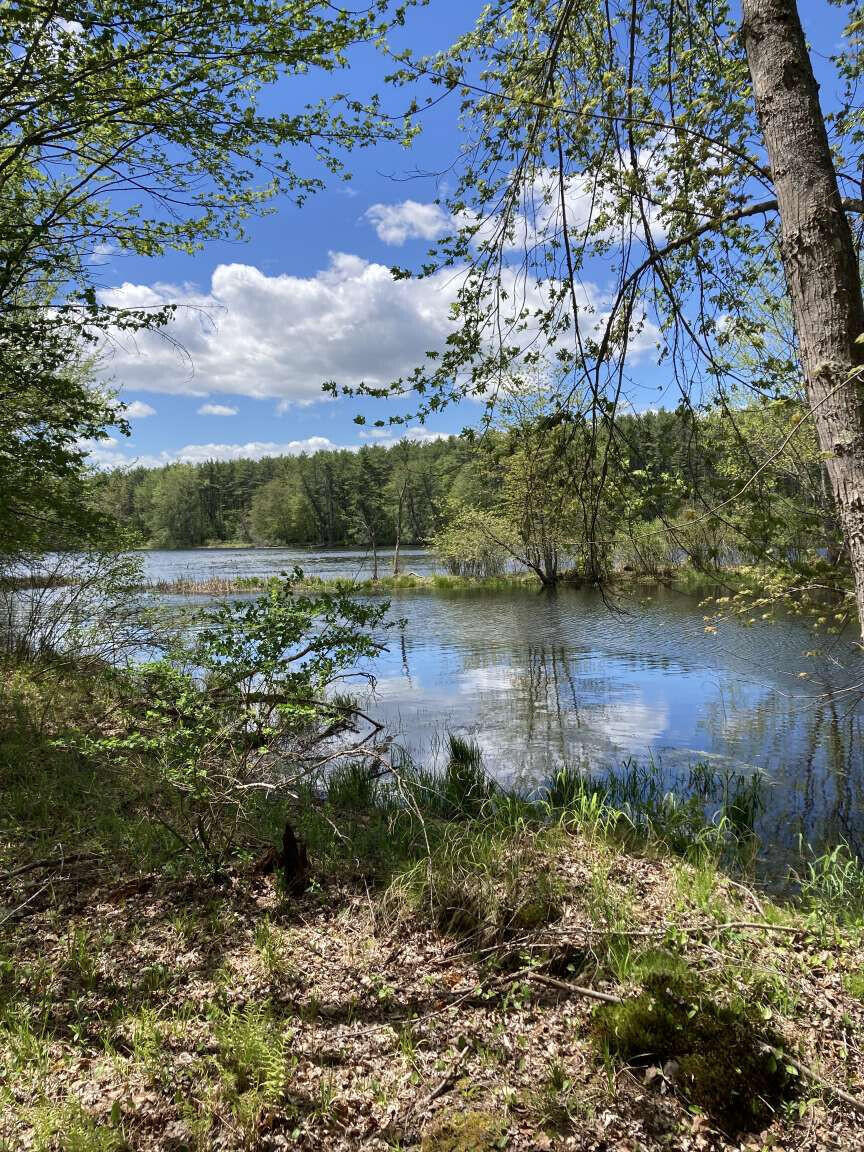 Lot A River Road Leeds, ME 04263 - Photo 2 of 19 Sargent.2