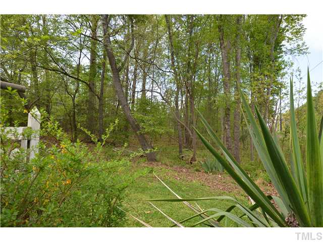 7000 Leesville Road Raleigh, NC 27613 - Photo 12 of 24 a view of a yard