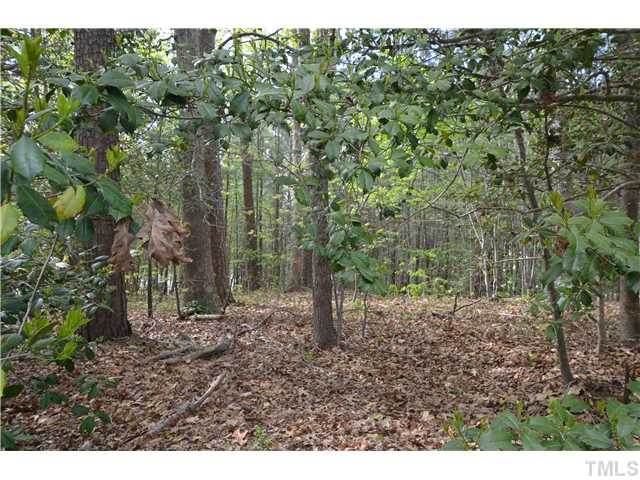 7000 Leesville Road Raleigh, NC 27613 - Photo 16 of 24 a view of a forest with trees