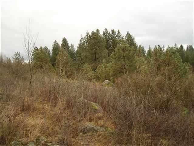 328-xx North Hardesty Road Spokane, WA 99201 - Photo 1 of 1