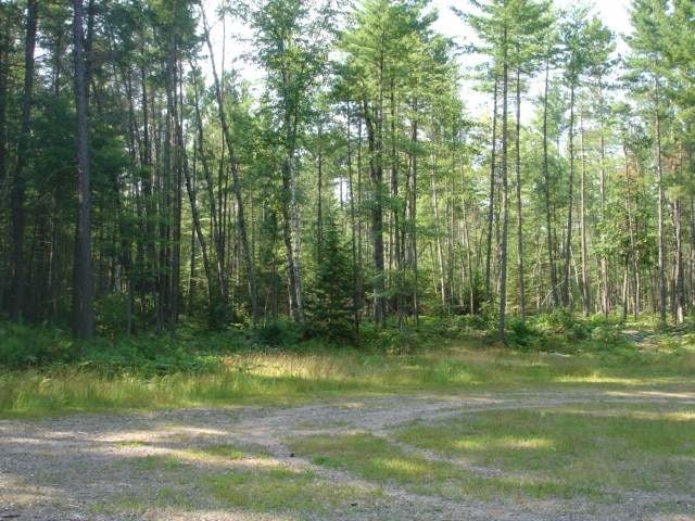 On Misty Lane, Unit 13 Eagle River, WI 54521 - Photo 1 of 9 Gallery Image 1