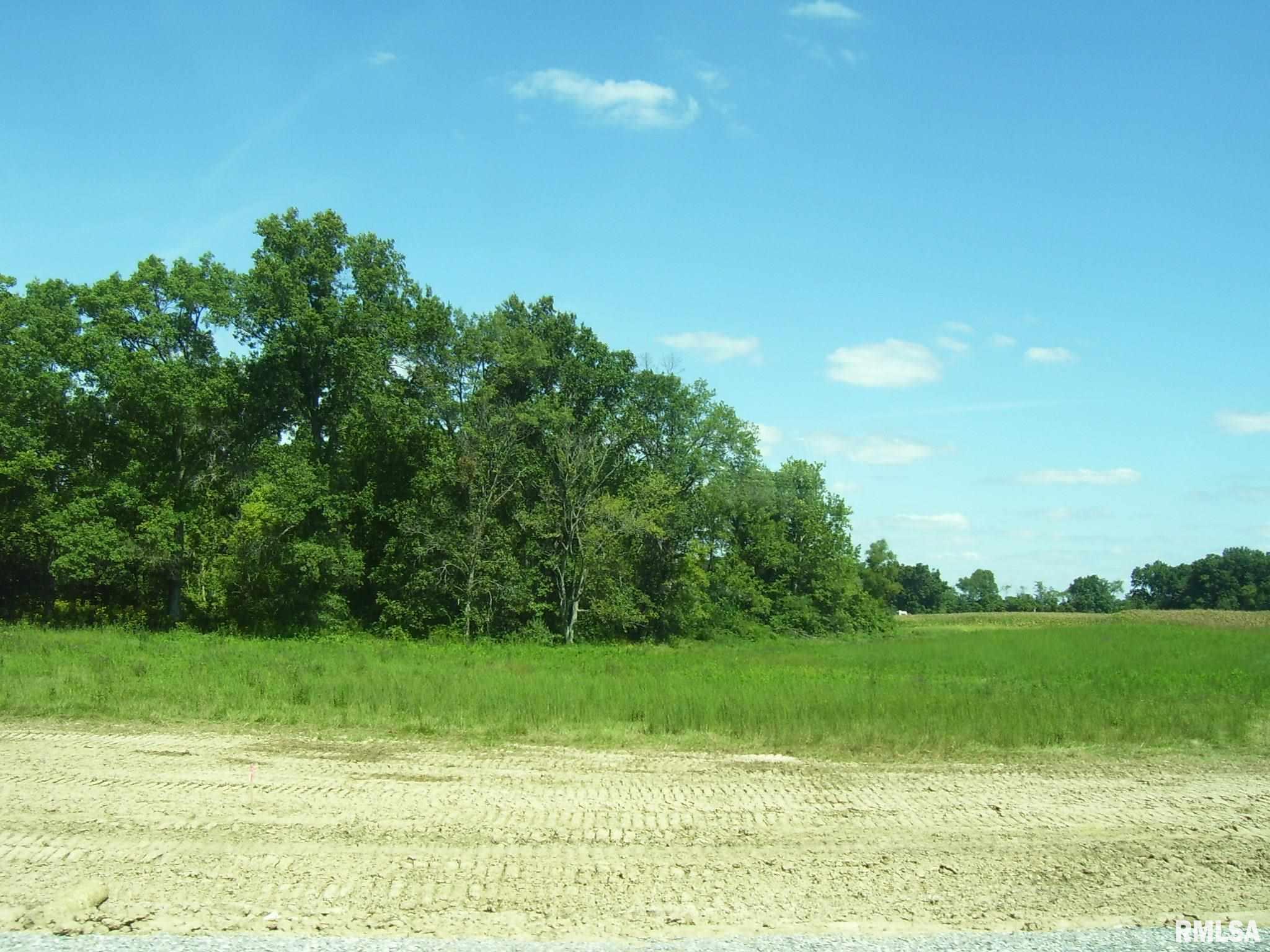 9500 Kinlou Road Kinmundy, IL 62854 - Photo 3 of 5