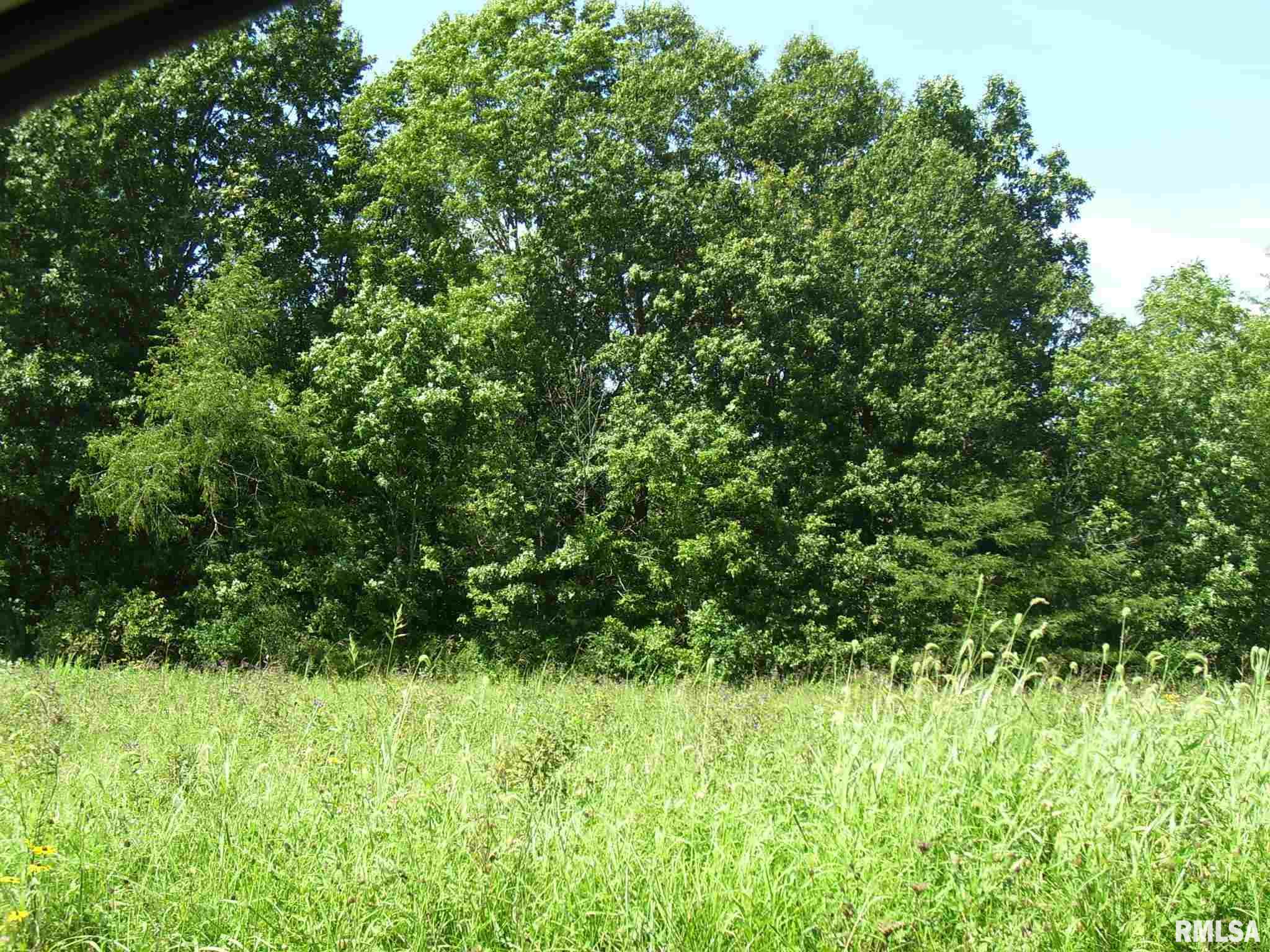 9500 Kinlou Road Kinmundy, IL 62854 - Photo 4 of 5