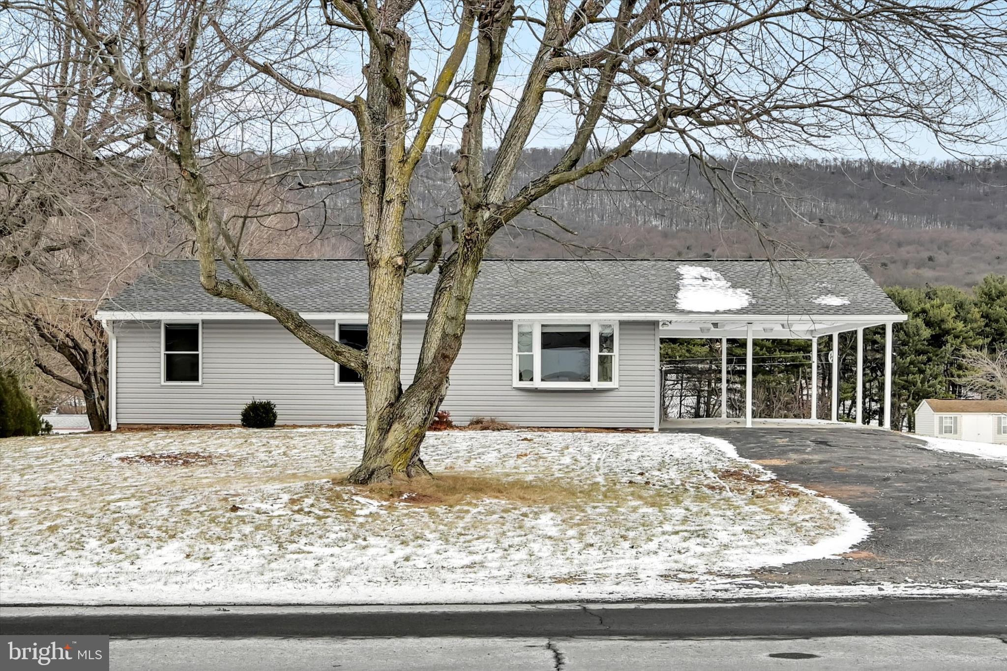 a house that has a tree in front of it