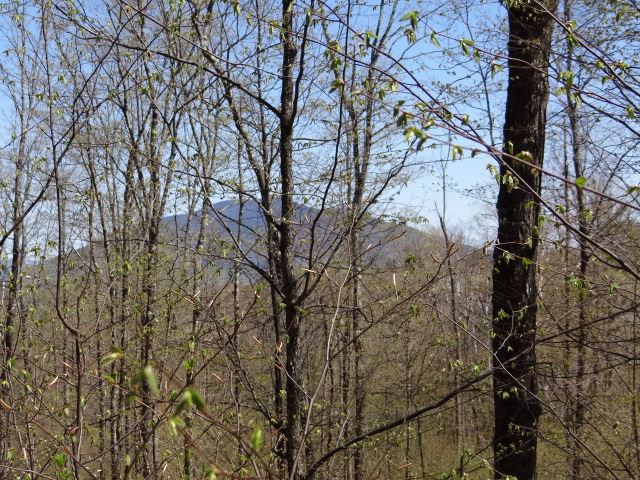 0 Malagash Road Reading, VT 05062 - Photo 2 of 11