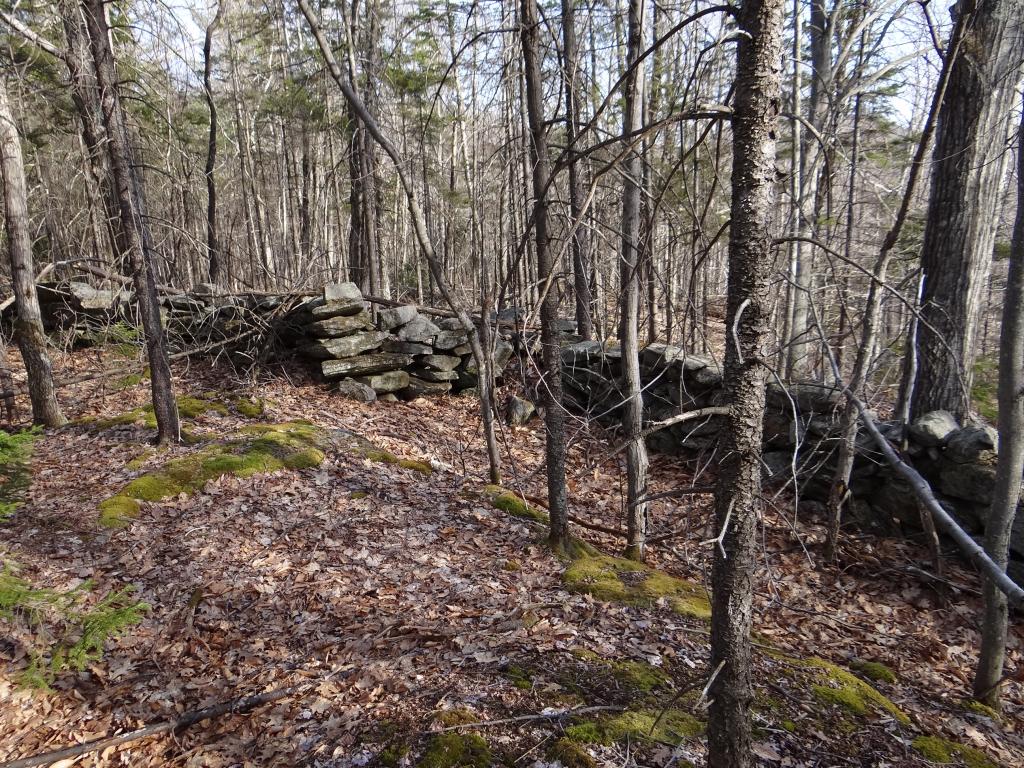 0 Malagash Road Reading, VT 05062 - Photo 4 of 11
