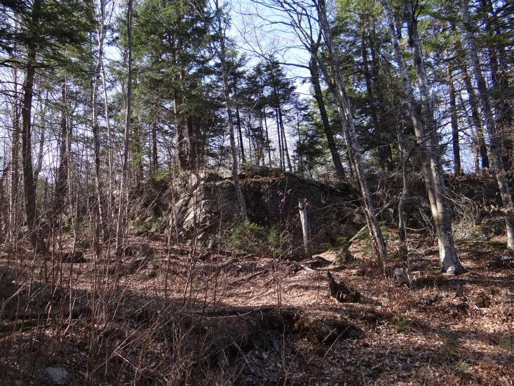 0 Malagash Road Reading, VT 05062 - Photo 5 of 11
