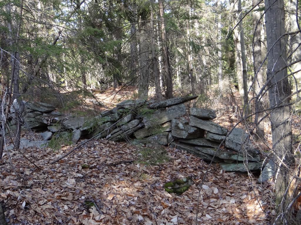 0 Malagash Road Reading, VT 05062 - Photo 6 of 11