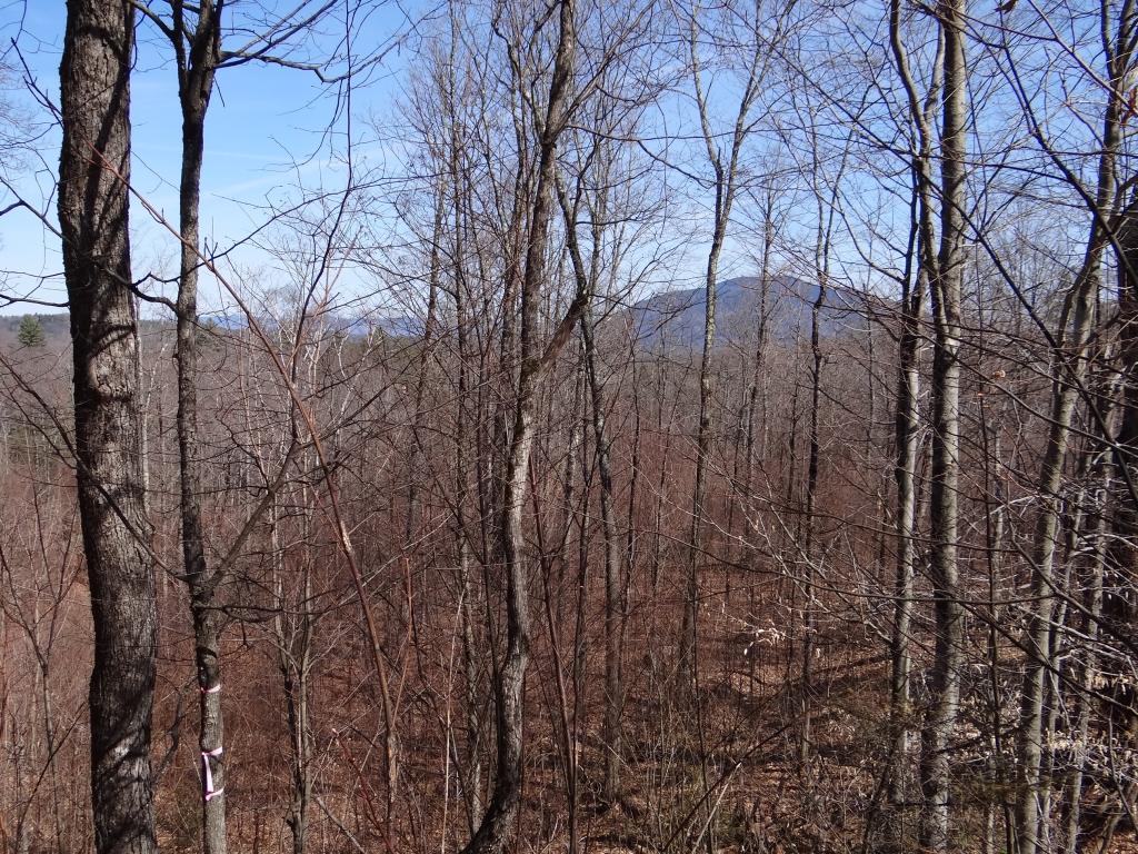 0 Malagash Road Reading, VT 05062 - Photo 8 of 11