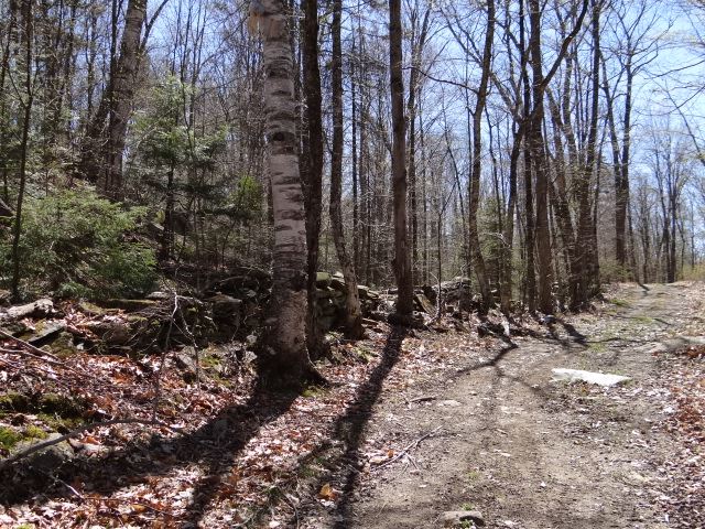 0 Malagash Road Reading, VT 05062 - Photo 9 of 11