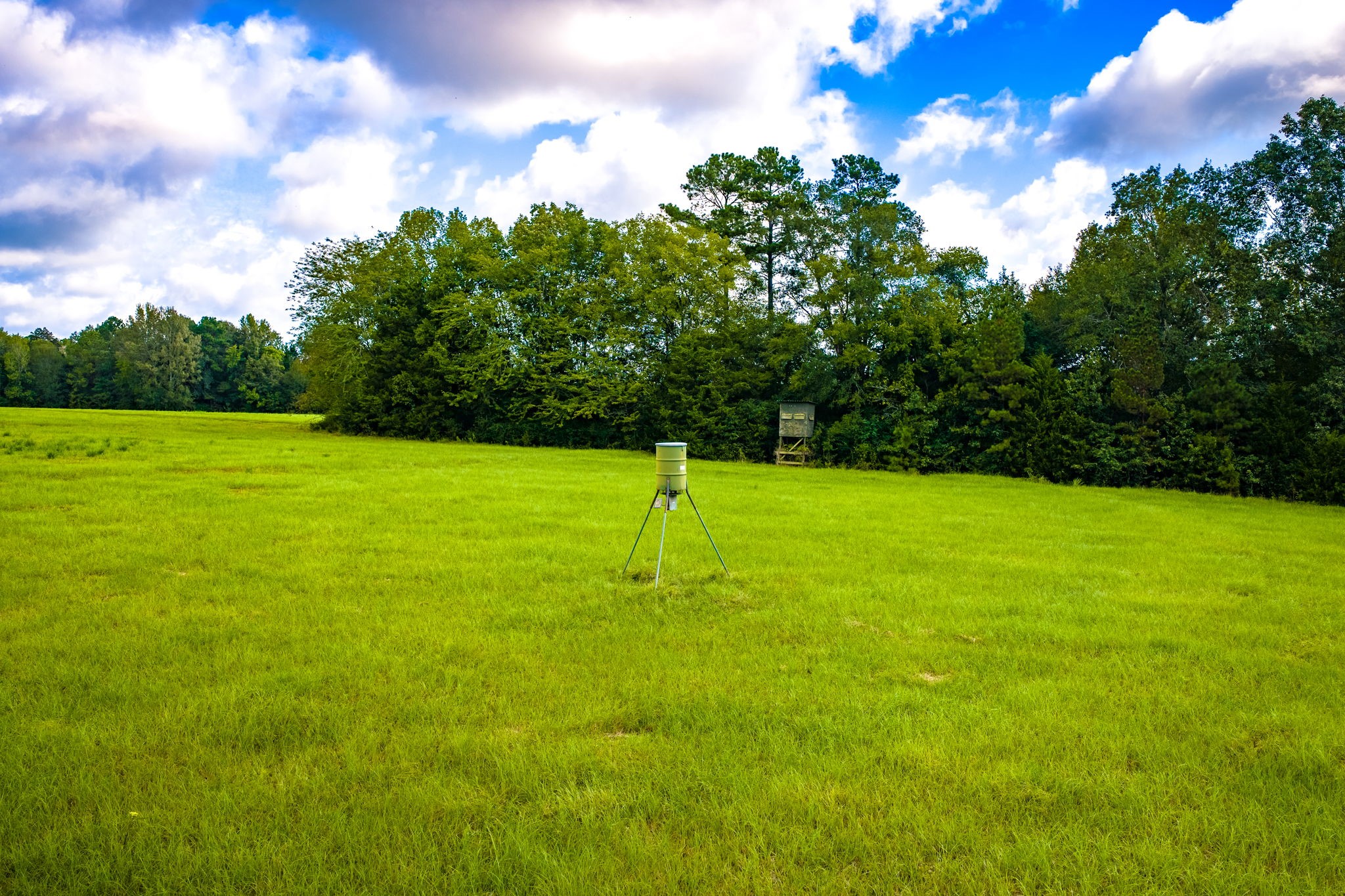 264 David Hon Road Livingston, TX 77351 - Photo 49 of 49 Property 2 (Deer Stand & Feeder not included)