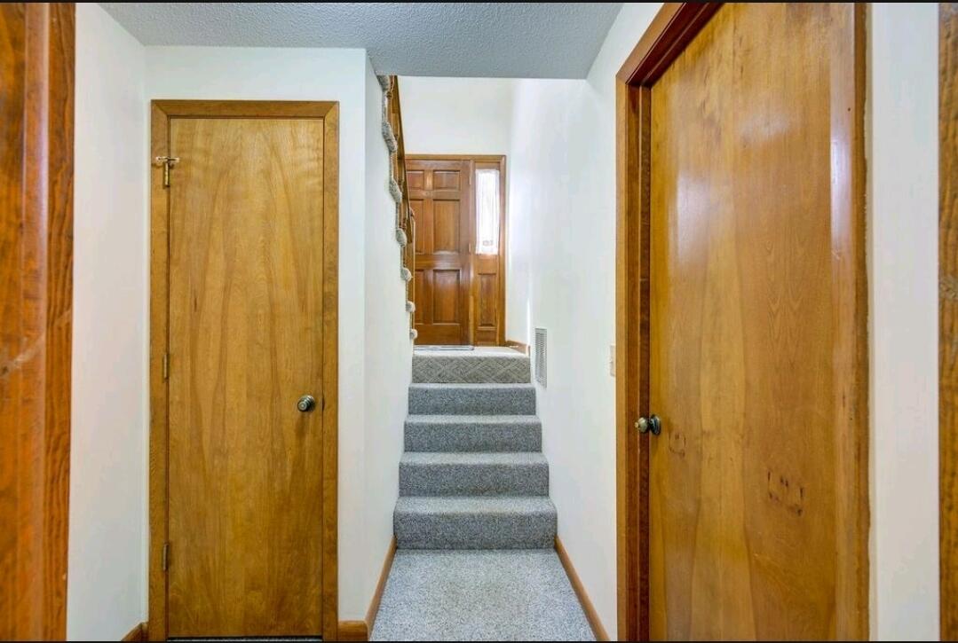 201 Old Siam Road Elizabethton, TN 37643 - Photo 23 of 30 Screenshot_20211023-191958_Dropbox