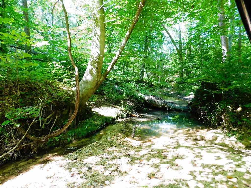 3152 Beulah Road Nathalie, VA 24577 - Photo 73 of 75 Creek