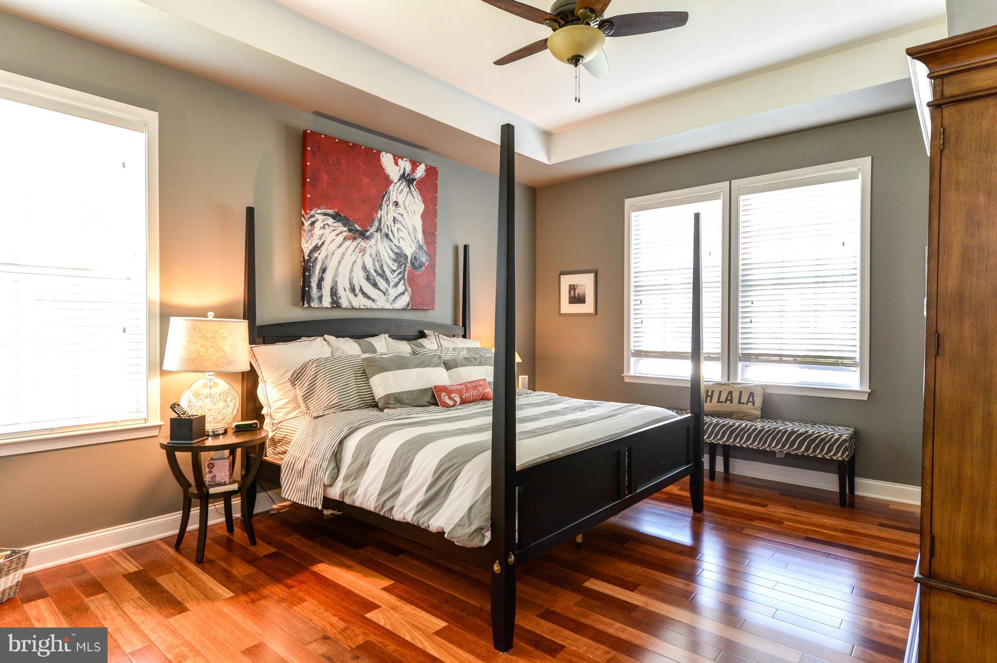 205 Grace Road North East, MD 21901 - Photo 13 of 27 Bedroom (Master)