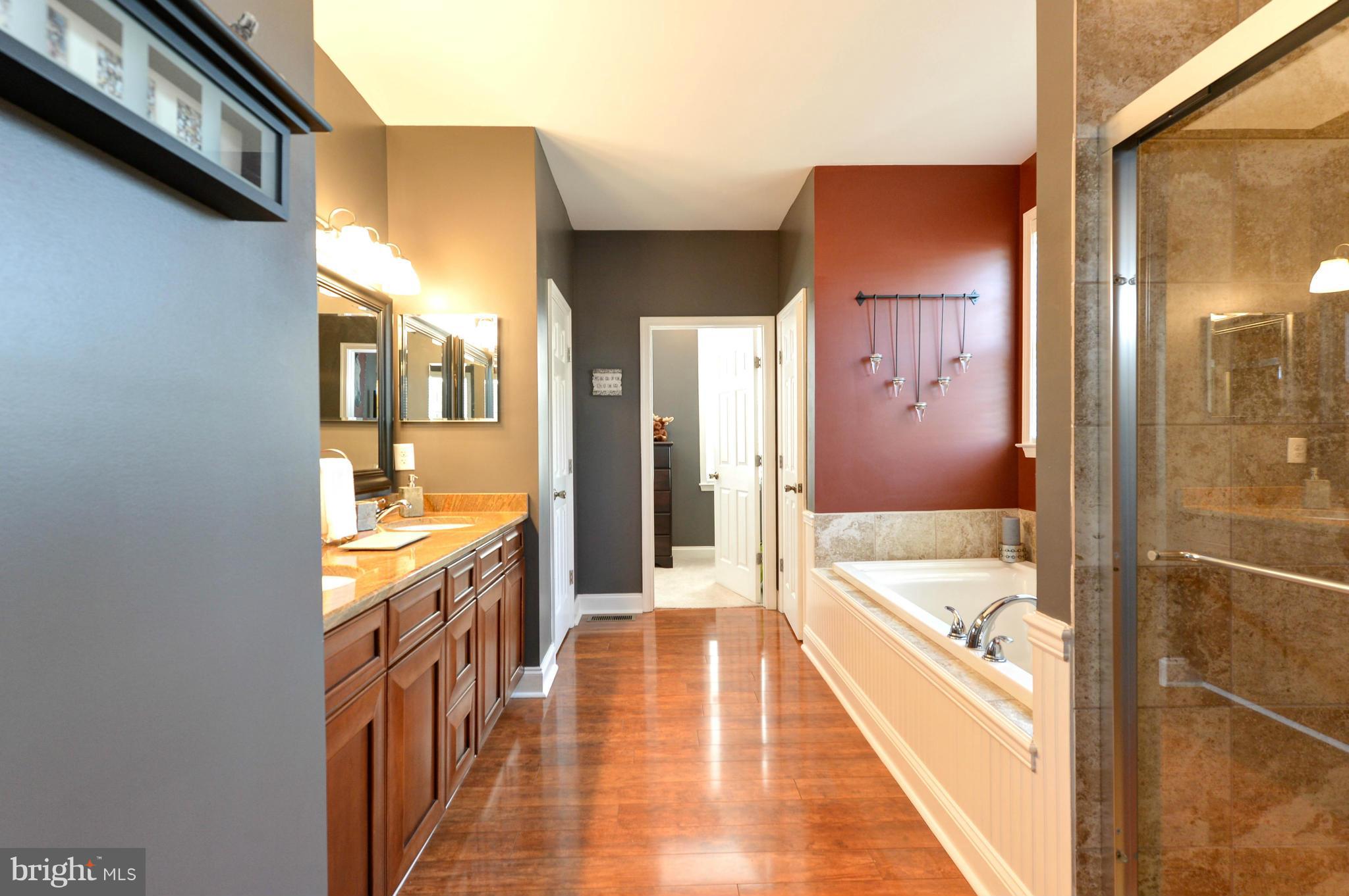 205 Grace Road North East, MD 21901 - Photo 14 of 27 Bath (Master)