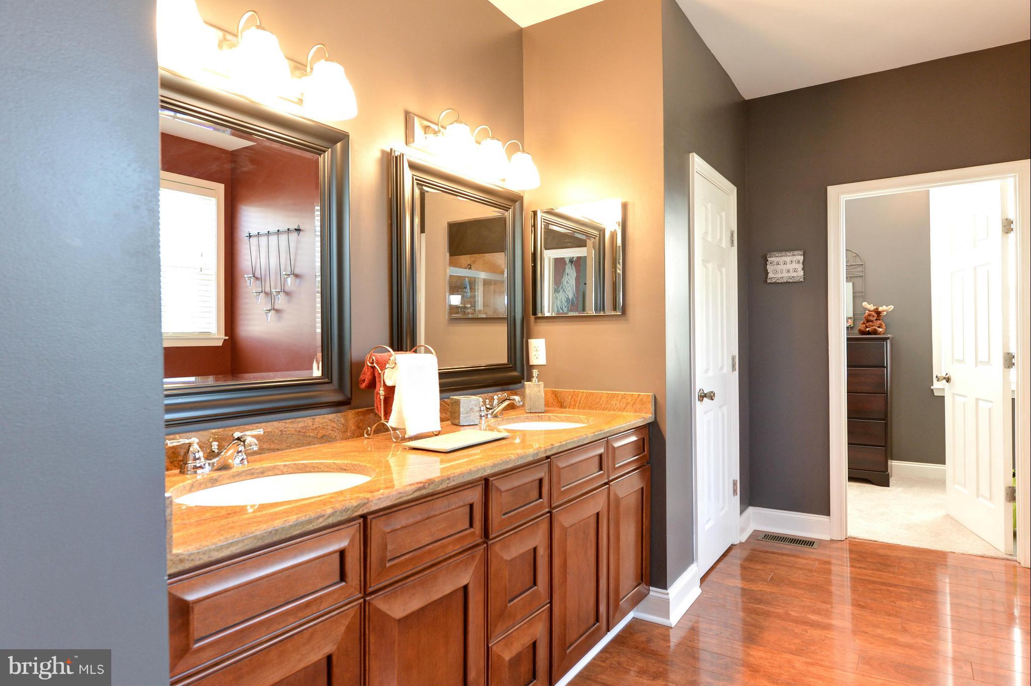 205 Grace Road North East, MD 21901 - Photo 15 of 27 Bath (Master)