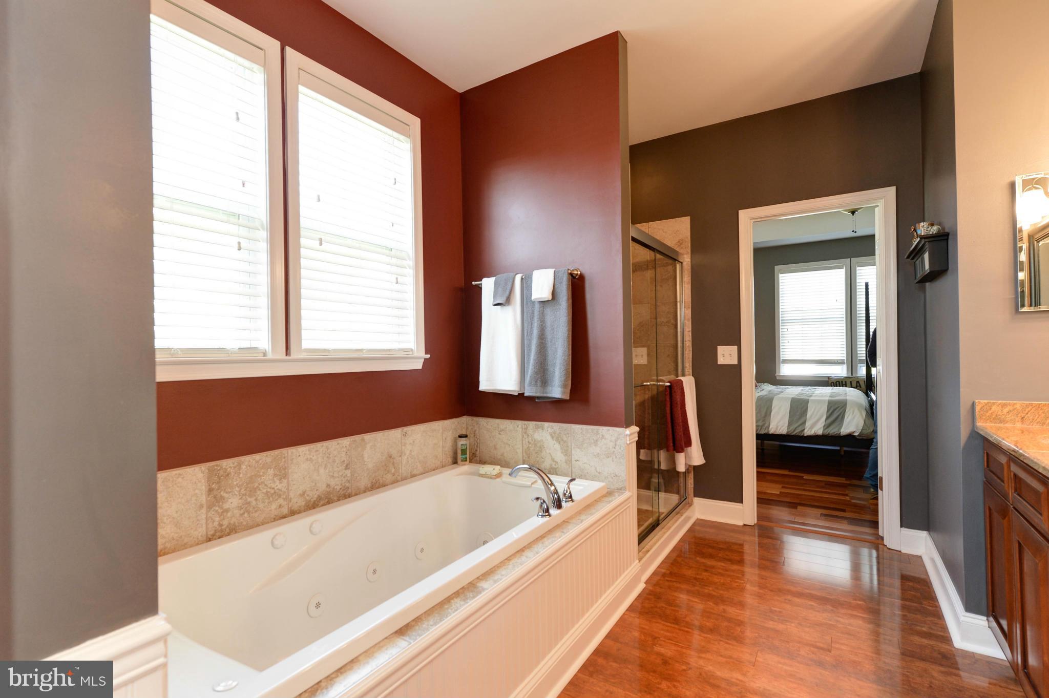 205 Grace Road North East, MD 21901 - Photo 16 of 27 Bath (Master)