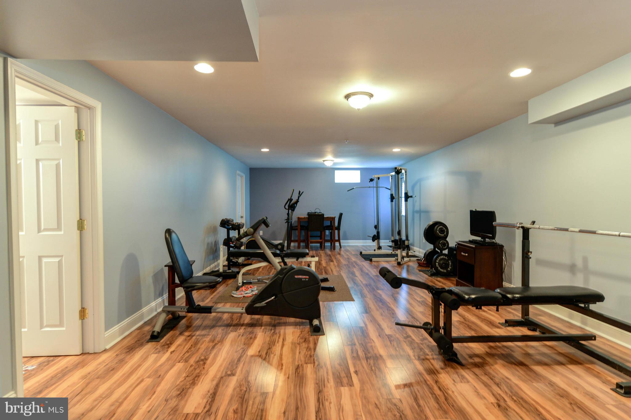 205 Grace Road North East, MD 21901 - Photo 19 of 27 Lower rec room