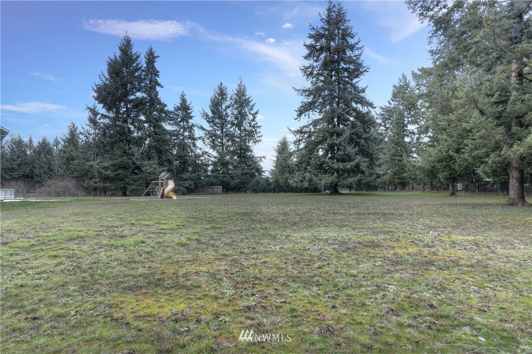 19520 Grand Mound Way Southwest Rochester, WA 98579 - Photo 34 of 34 a view of a field with trees