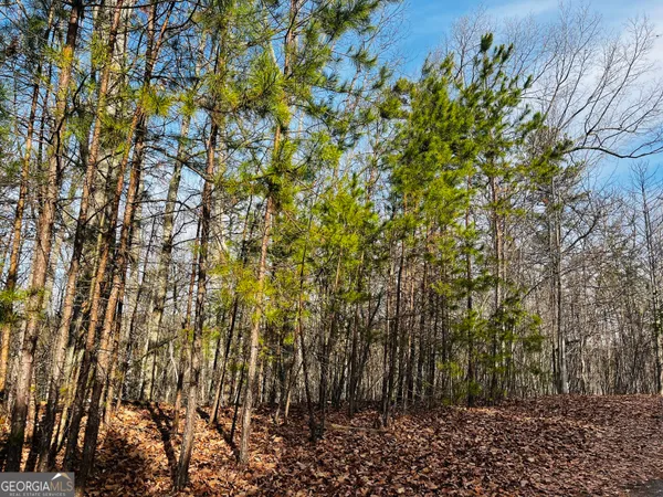 $30,000 | Lot 6 Planters Pointe Court, Baldwin, GA 30511