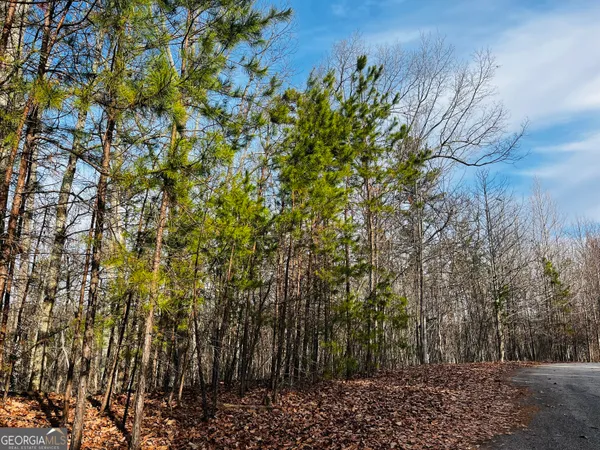 $30,000 | Lot 6 Planters Pointe Court, Baldwin, GA 30511