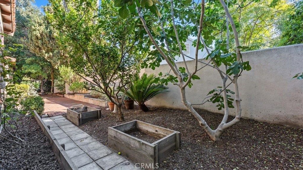 460 University Circle Claremont, CA 91711 - Photo 35 of 41 a view of a backyard with plants and trees