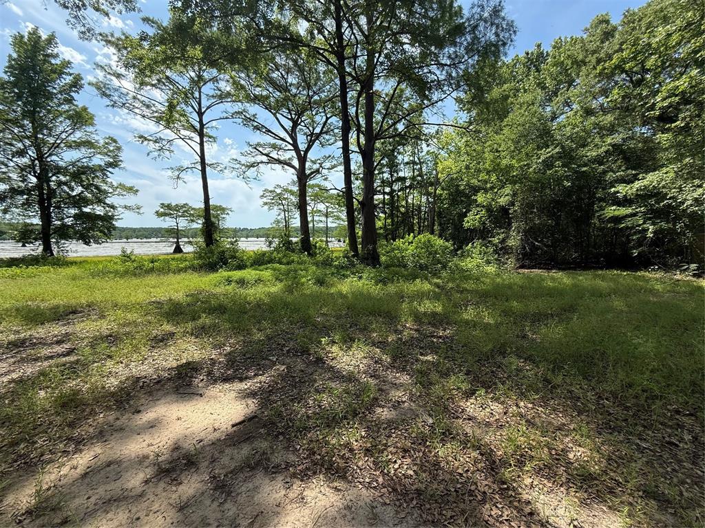 11756 Catfish Road Vivian, LA 71082 - Photo 17 of 17
