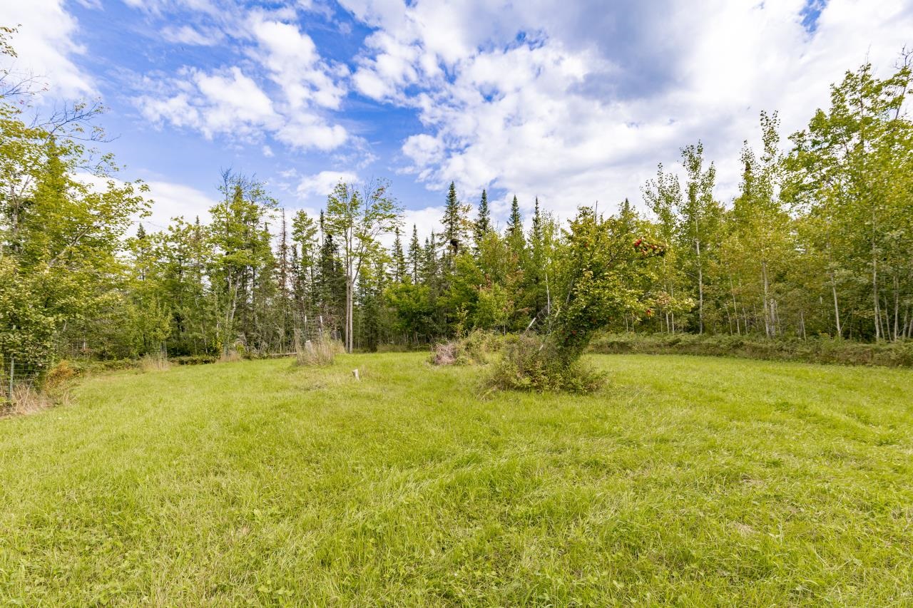 5854 Alborn-Brookston Road Alborn, MN 55702 - Photo 12 of 37 Apple & Pear trees